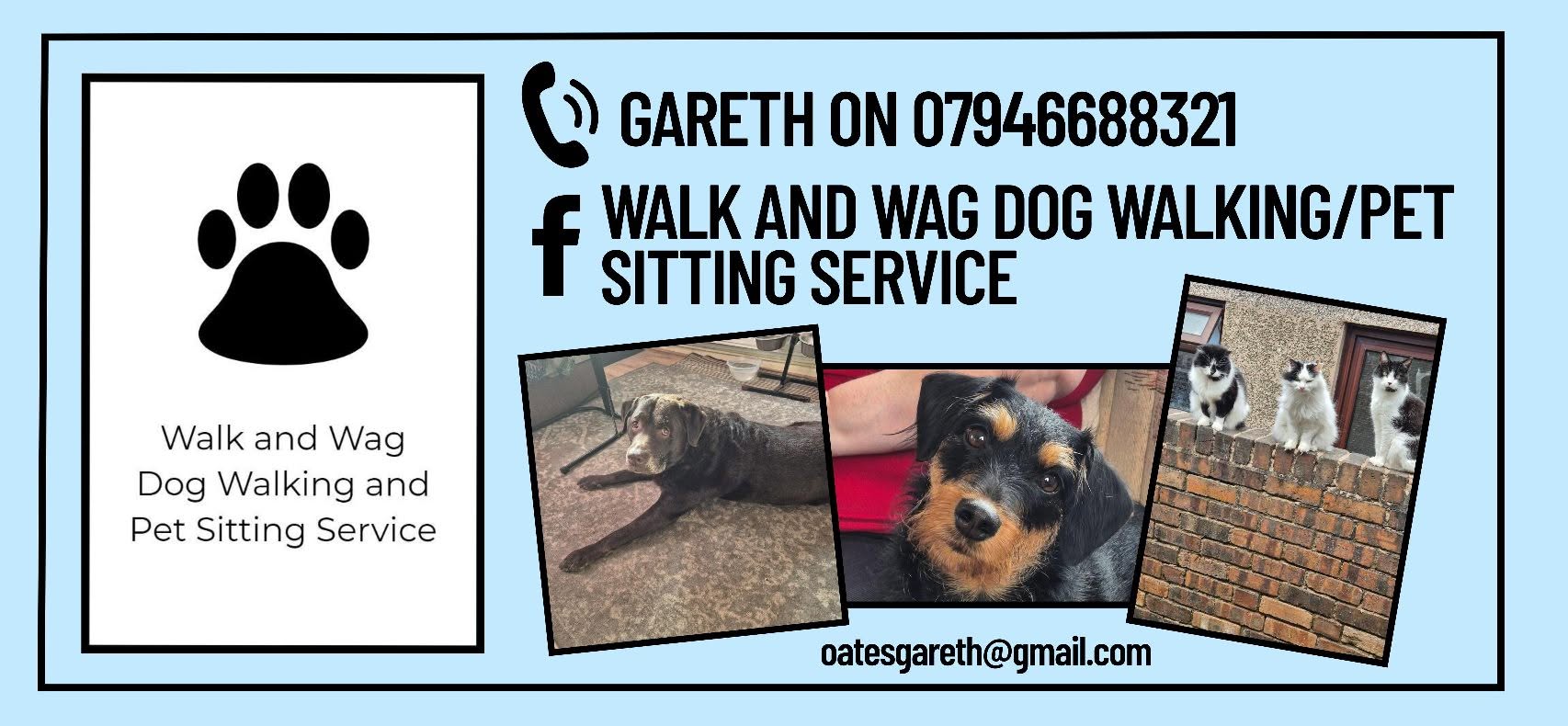 Walk and Wag promotional flyer featuring dogs and cats