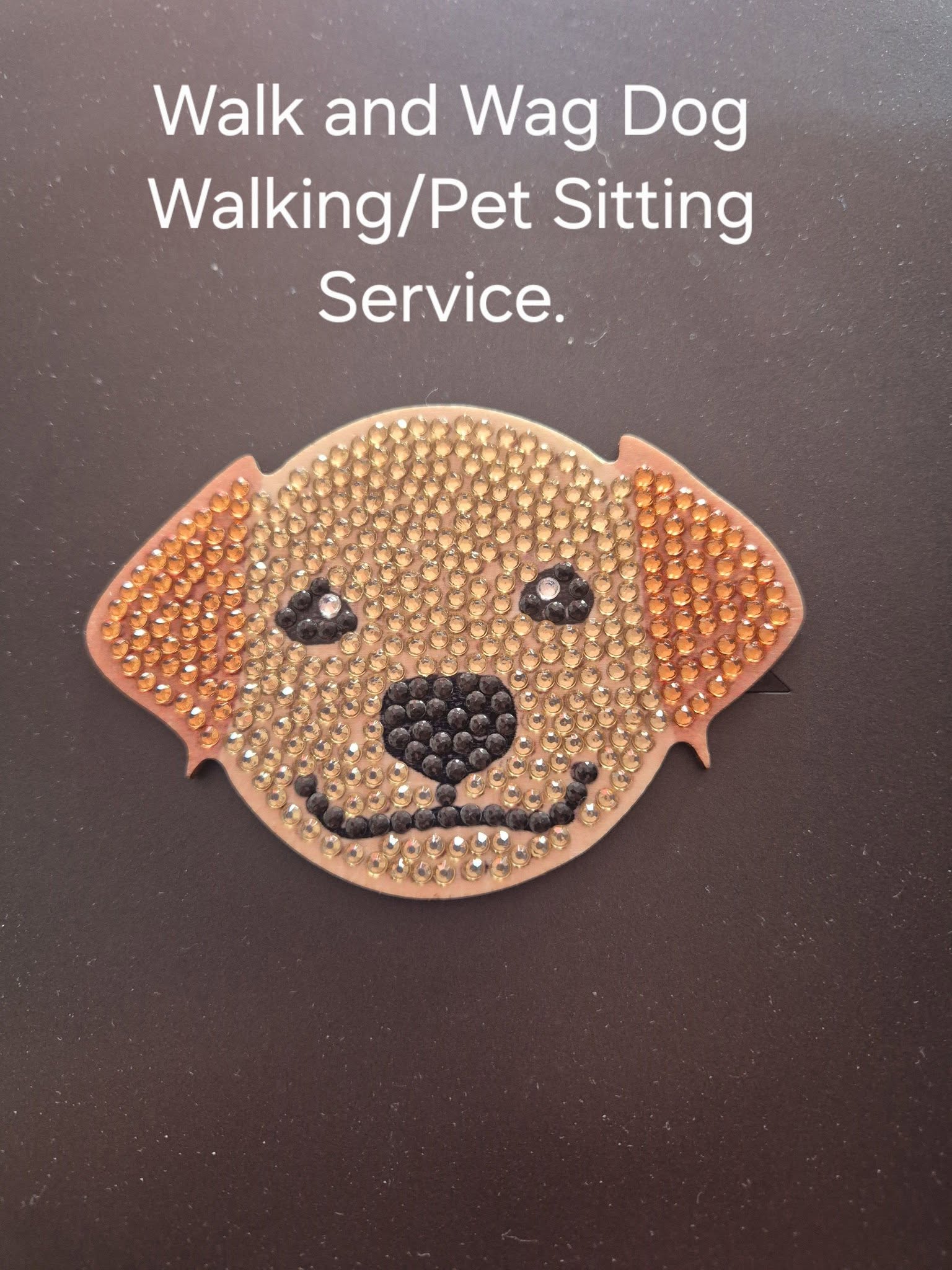 A sparkly gem-art dog decoration for Walk and Wag